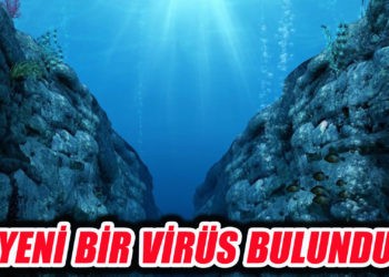 Mariana Çukuru’nda,yeni bir virüs keşfedildi
