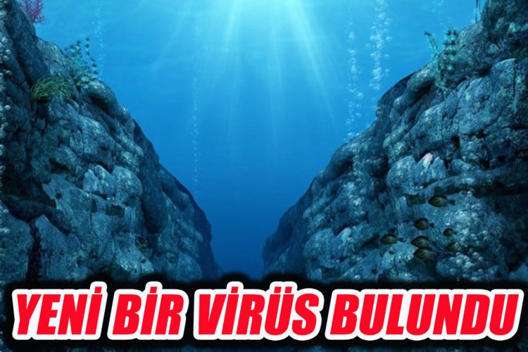  Mariana Çukuru’nda,yeni bir virüs keşfedildi