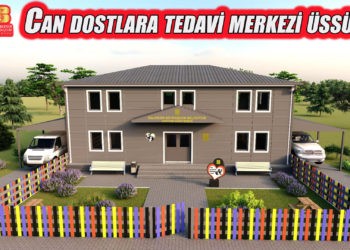 Bir Sokak Hayvanları Tedavi Merkezi de Altıeylül’e