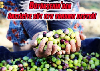 “Altın sarısı sofralarımızla buluşacak”