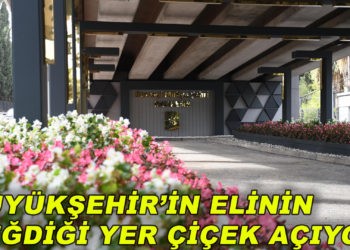Büyükşehir’in elinin değdiği yer çiçek açıyor