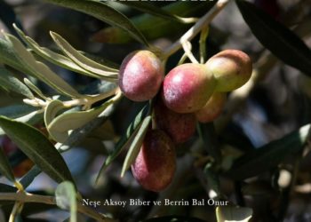 Zeytin ve ekmek kitapları Dünya Kitap Yarışması’nda
