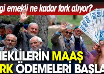 Emeklilerin maaş fark ödemeleri başladı
