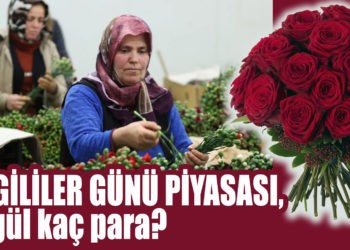 SEVGİLİLER GÜNÜ PİYASASI, BİR GÜL KAÇ PARA