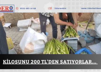 Kilosunu 200 TL’den satıyorlar… 