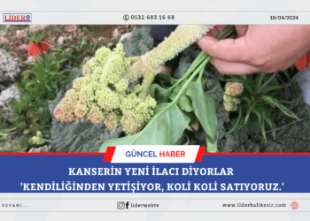 Kanserin yeni ilacı diyorlar ‘Kendiliğinden yetişiyor, koli koli satıyoruz.’