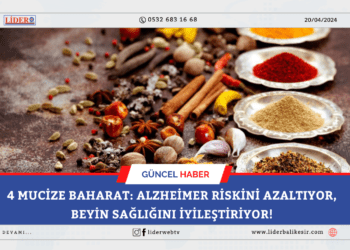 4 mucize baharat: Alzheimer riskini azaltıyor, beyin sağlığını iyileştiriyor!