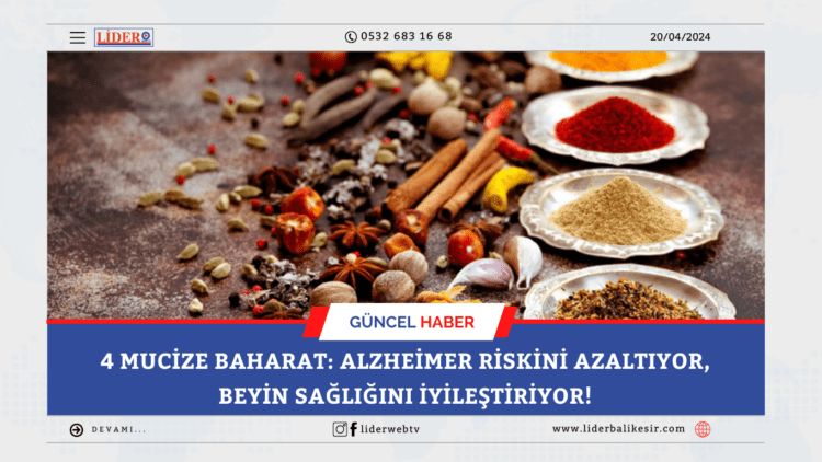 4 mucize baharat: Alzheimer riskini azaltıyor, beyin sağlığını iyileştiriyor!