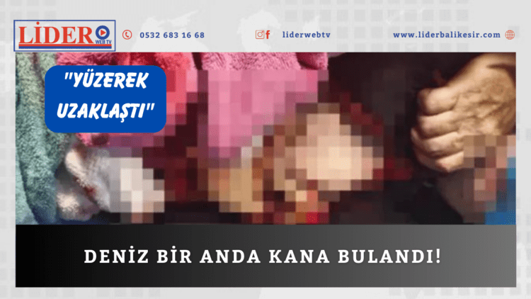 Deniz bir anda kana bulandı!