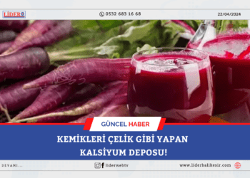 Kemikleri çelik gibi yapan kalsiyum deposu!