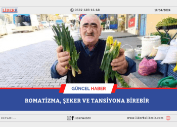 Yoğun talep var! Kendiliğinden yetişiyor, zor şartlarda toplanıyor… Romatizma, şeker ve tansiyona birebir