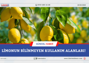 Limonun bilinmeyen kullanım alanları!