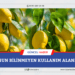 Limonun bilinmeyen kullanım alanları!