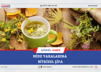 Mide&nbsp;yaralarına bitkisel şifa