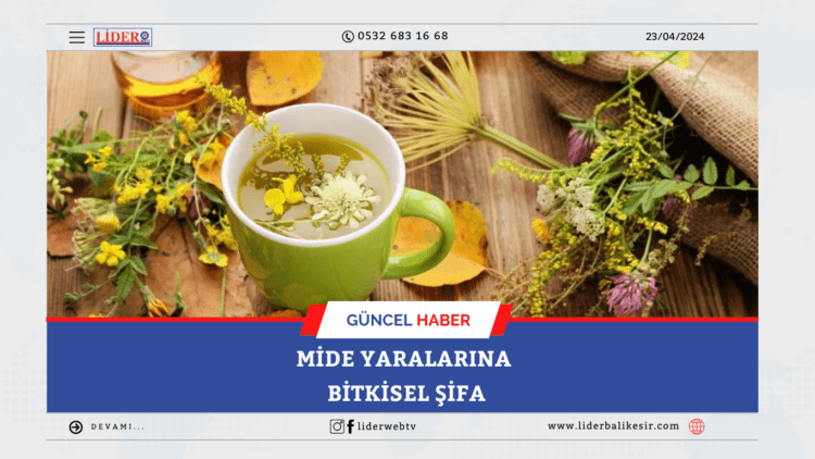 Mide yaralarına bitkisel şifa