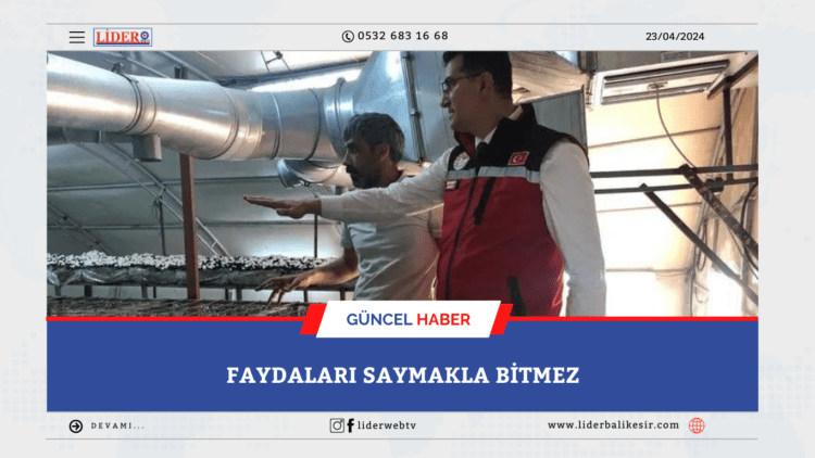 Faydaları saymakla bitmez