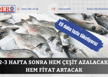 2-3 hafta sonra hem çeşit azalacak hem fiyat artacak