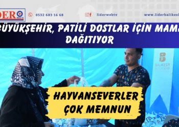 Büyükşehir, patili dostlar için mama dağıtıyor