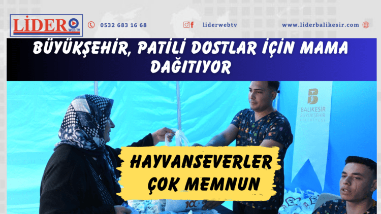 Büyükşehir, patili dostlar için mama dağıtıyor