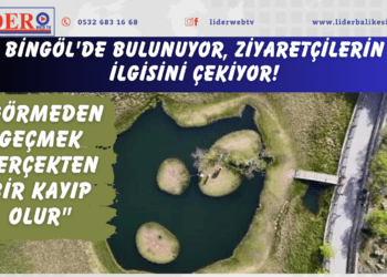 Bingöl’de bulunuyor, ziyaretçilerin ilgisini çekiyor! “Görmeden geçmek gerçekten bir kayıp olur”