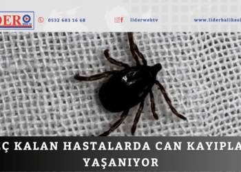 Bu yöntemler ölüme götürüyor!