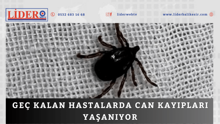  Bu yöntemler ölüme götürüyor! 