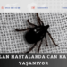  Bu yöntemler ölüme götürüyor! 