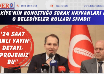 Türkiye’nin konuştuğu sokak hayvanları için o belediyeler kolları sıvadı! ’24 saat canlı yayın’ detayı: “Projemiz bu”