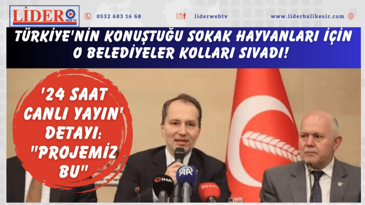 Türkiye’nin konuştuğu sokak hayvanları için o belediyeler kolları sıvadı! ’24 saat canlı yayın’ detayı: “Projemiz bu”