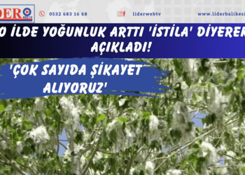 O ilde yoğunluk arttı ‘İstila’ diyerek açıkladı! ‘Çok sayıda şikayet alıyoruz’