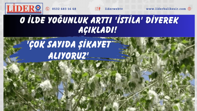 O ilde yoğunluk arttı ‘İstila’ diyerek açıkladı! ‘Çok sayıda şikayet alıyoruz’