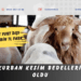 YURT İÇİ İLE YURT DIŞI ARASINDA 7 BİN TL FARK