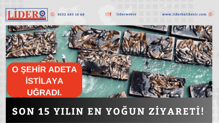 Son 15 yılın en yoğun ziyareti! O şehir adeta istilaya uğradı.