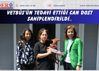 VETBÜS’ün tedavi ettiği can dost sahiplendirildi..