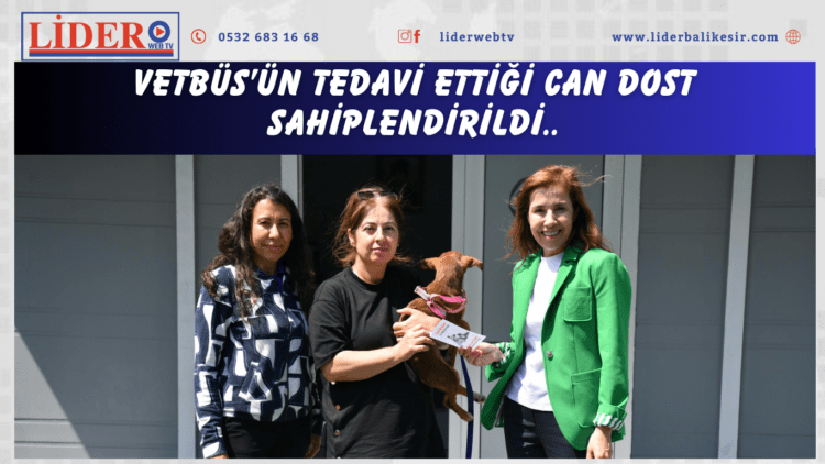 VETBÜS’ün tedavi ettiği can dost sahiplendirildi..