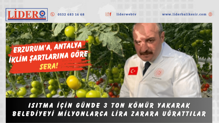 Erzurum’a, Antalya iklim şartlarına göre sera!