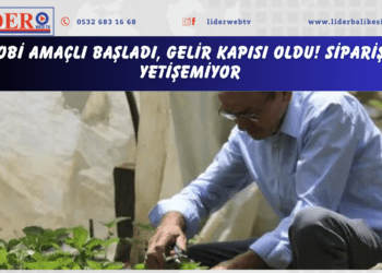 Hobi amaçlı başladı, gelir kapısı oldu! Siparişe yetişemiyor