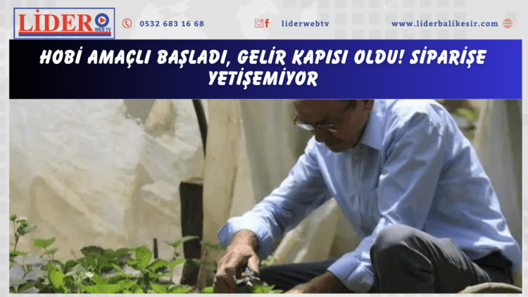 Hobi amaçlı başladı, gelir kapısı oldu! Siparişe yetişemiyor