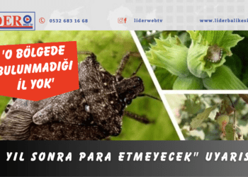 “3 yıl sonra para etmeyecek” uyarısı!