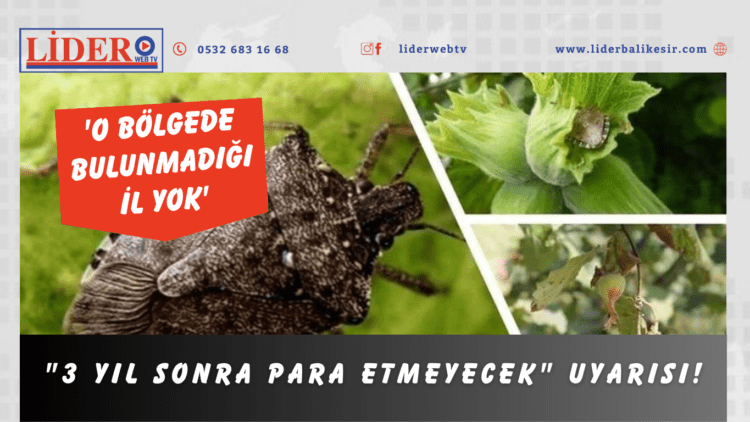 “3 yıl sonra para etmeyecek” uyarısı!