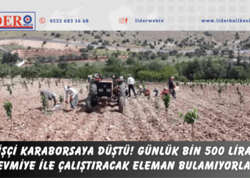İşçi karaborsaya düştü! Günlük bin 500 lira yevmiye ile çalıştıracak eleman bulamıyorlar