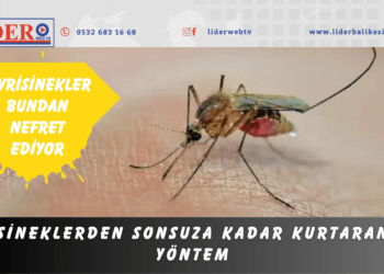Sineklerden sonsuza kadar kurtaran yöntem