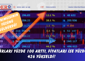 Yatırımcısının yüzünü güldürdü! Kârları yüzde 100 arttı, fiyatları ise yüzde 426 yükseldi!