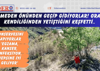 Bilmeden önünden geçip gidiyorlar! Orada kendiliğinden yetiştiğini keşfetti..