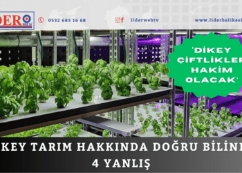 Dikey tarım hakkında doğru bilinen 4 yanlış