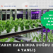 Dikey tarım hakkında doğru bilinen 4 yanlış