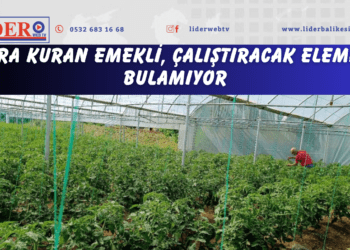 Sera kuran emekli, çalıştıracak eleman bulamıyor