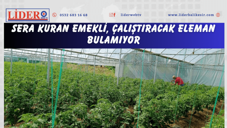 Sera kuran emekli, çalıştıracak eleman bulamıyor