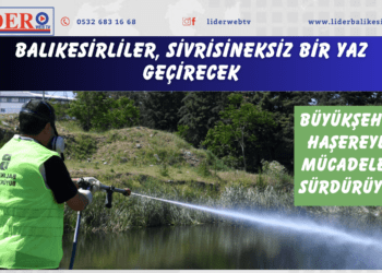 Balıkesirliler, sivrisineksiz bir yaz geçirecek