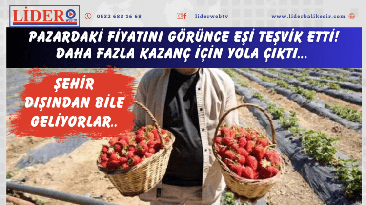 Pazardaki fiyatını görünce eşi teşvik etti! Daha fazla kazanç için yola çıktı… Şehir dışından bile geliyorlar